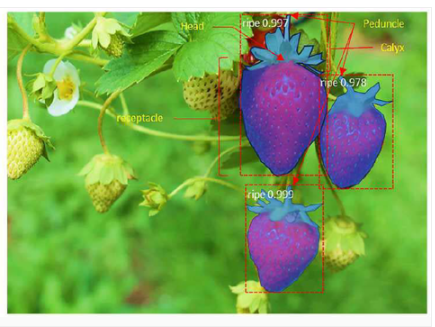 10d669c3ebeaa069be7080ede47eeb1c_1721017757_2284.png