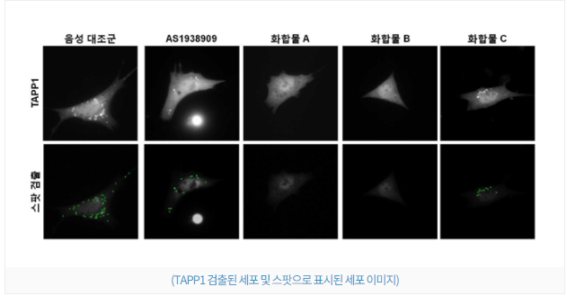 9f2ce6f8ec2f291c7af3c11a166eee3a_1720662227_91.png 9f2ce6f8ec2f291c7af3c11a166eee3a_1720662227_91.png